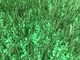 Yapay çim için özel yüksek istikrarlı çim kauçuk dolgu