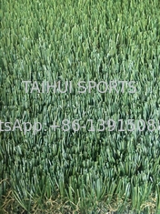 UV Dayanımlı 50mm Özel Boyutlu Dış Mekan Peyzaj Sentetik Suni Çim Halı Futbol Sahası İçin